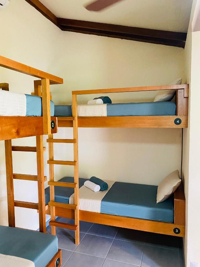 El Hostel Del Patio ตอร์ตูเกโร ภายนอก รูปภาพ